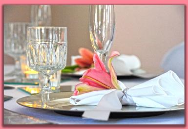 Erie PA Wedding Planner Sandra Whitley CPWP