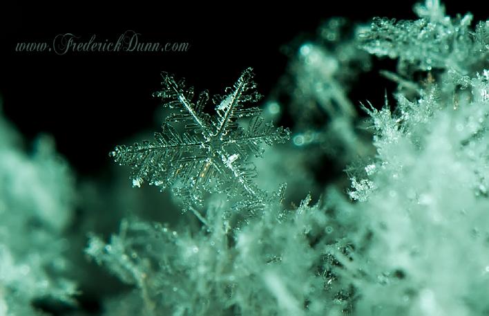 macro photo of snowflake by Frederick Dunn